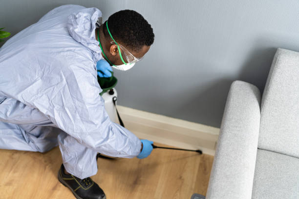 Best Fumigation Services  in Greensburg, PA